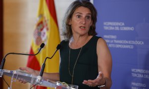 La ministra para la Transición Ecológica y el Reto Demográfico, Teresa Ribera, atiende a la prensa tras la reunión telemática con los responsables autonómicos en las áreas de Energía, Industria y Comercio y la Federación Española de Municipios y Provincia