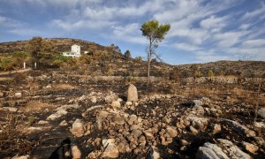 El incendio forestal de la Vall d'Ebo, en el interior norte de la provincia de Alicante, se encuentra estable.