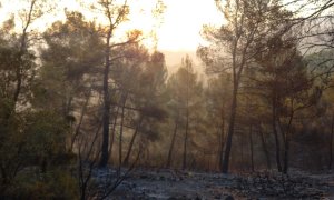 Incendio sin llamas, en Jaén, a 24 de agosto de 2022.