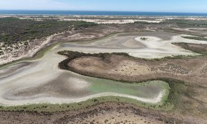 La laguna de Santa Olalla, en Doñana, en una imagen tomada en agosto de 2022. — ESTACIÓN BIOLÓGICA DE DOÑANA / CSIC / REUTERS