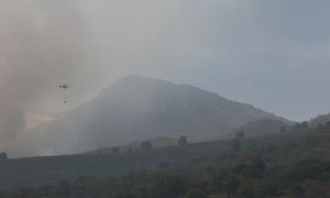 Medios aéreos y terrestres luchan contra las llamas en Los Guájares