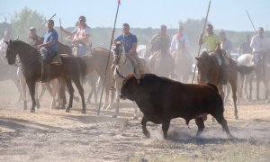 Algunos participantes tratan de herir con lanzas a una res en el festejo del Toro de la Vega de 2017, en Tordesillas.