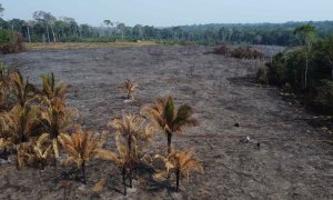 vFotografía aérea tomada con un dron muestra un bosque quemado, el 4 de septiembre de 2022 en el departamento de Madre de Dios (Perú)