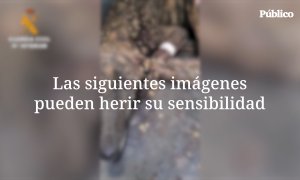Denunciado por maltrato un refugio de animales abandonados en Almería