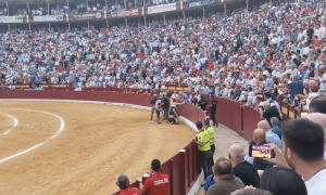 Instante en el que el joven animalista es golpeado por varios banderilleros y personal de la Plaza de Toros de Murcia.