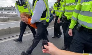 "Estoy haciendo esto por mi hijo": la sorprendente calma de una ecologista que es arrestada y llevada en volandas por la Policía