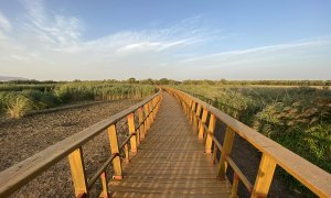 Un sendero en el Parque Nacional de las Tablas de Daimiel.