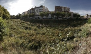 La maleza ocupa el caudal del rio Cidacos a su paso por Tafalla ante la ausencia de lluvias durante todo el verano, a 17 de octubre de 2022.