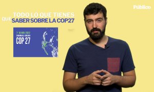 Todo lo que tienes que saber sobre la COP27, la Cumbre del Clima de Egipto