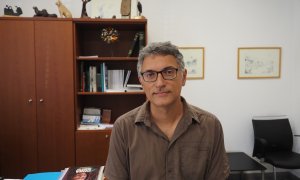 Eloy Revilla, director de la Estación Biológica de Doñana, este miércoles en su despacho.