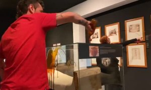 Dos activistas vierten líquido en una vitrina del Museo Egipcio de Barcelona