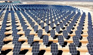 Fotovoltaica planificada sin atropellos para la biodiversidad
