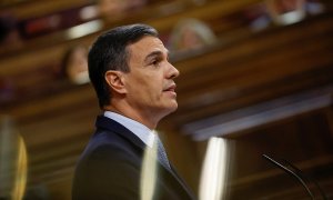 El presidente del Gobierno, Pedro Sánchez, en la tribuna del Congreso de los Diputados durante el último debate del estado de la nación, en pasado julio. REUTERS/Susana Vera