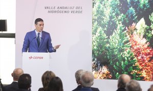 Pedro Sánchez en "Valle andaluz del Hidrógeno Verde"