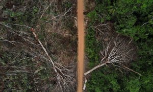 Una vista aérea muestra una parcela deforestada de la selva amazónica brasileña, en Apui, estado de Amazonas, Brasil.
