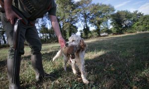 Un cazador perteneciente al Coto de Cela, recoge una perdiz con su perro de caza en el Tecor Santa Isabel, a 16 de octubre de 2022, en Vilela, Outeiro de Rei, Lugo.