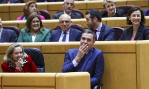 El presidente del Gobierno, Pedro Sánchez durante el pleno del Senado, este miércoles en Madrid .