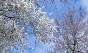 Manto de nieve en La Rioja