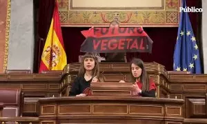 Militantes de Futuro Vegetal se pegan al atril del Congreso de los Diputados