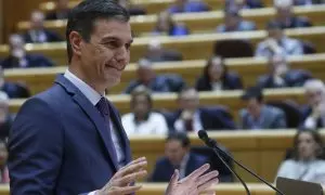 31/01/2023.- El presidente del Gobierno, Pedro Sánchez, interviene en el pleno del Senado, este martes en Madrid. EFE/ Zipi