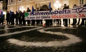 08/02/2023 - La concentració d'aquest dijous a la plaça Sant Jaume de Barcelona per reclamar accions per salvar el Delta de l'Ebre.