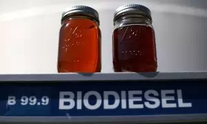 Dos tarros contienen muestras de biodiésel.