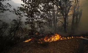 17 incendios forestales en 11 concejos asturianos, y una carta del ecologismo asturiano pidiendo la dimisión del consejero