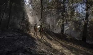 Un grupo de efectivos de las brigadas forestales durante los trabajos del incendio de Villanueva de Viver