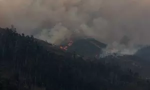 ¿Quién está quemando el monte asturiano?