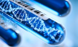Investigadores del Centro de Regulación Genómica (CRG) de Barcelona desarrollan una herramienta que permite usar moléculas de ácido ribonucleico de transferencia (ARNt) como biomarcadores para diagnosticar cánceres.