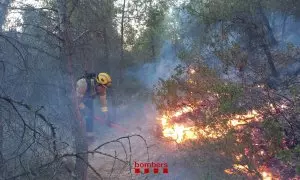 Un bomber treballa a tocar de les flames de l'incendi que afecta el Baix Cinca (Aragó) i el Segrià.