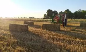 El 'Plan Sequía' se pone en marcha en Castilla-La Mancha con medidas pactadas por valor de 50 millones de euros