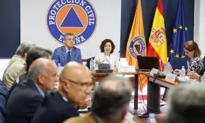 Comité Estatal de Coordinación y Dirección de Incendios Forestales, en la Dirección General de Protección Civil y Emergencias, a 28 de abril de 2023, en Madrid.