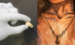 El diente de ciervo perforado descubierto en la cueva de Denisova y recreación artística del colgante con un cordón de ADN.