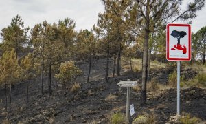 Tierra arrasada tras el incendio en la comarca cacereña de Las Hurdes, en Pinofranqueado, Cáceres, a 22 de mayo de 2023.