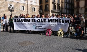 Pagesos de Ponent manifestant-se contra el tancament del canal d'Urgell i Segarra-Garrigues a la plaça Sant Jaume.