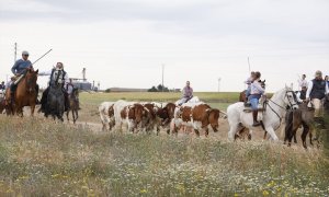 Personas a caballo conducen ganado en la octava edición de la Feria del Caballo, a 14 de mayo de 2022, en Medina del Campo, Valladolid.