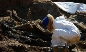 Expertos forenses, miembros de la Comisión Internacional sobre Personas Desaparecidas (ICMP) y trabajadores bosnios buscan restos humanos en una fosa común en el pueblo de Tomasica, cerca de la ciudad de Prijedor, en el oeste de Bosnia, el 4 de octubre de