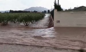 El temporal recorre el centro peninsular dejando también abundantes precipitaciones en el sureste