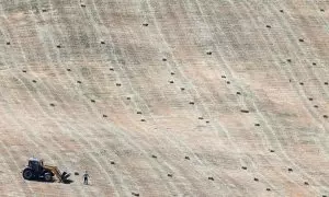 Los agricultores recogen la cosecha de heno en un campo afectado por la prolongada sequía, en Ronda, en mayo de 2023.