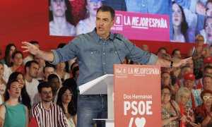 El secretario general del PSOE y presidente del Gobierno, Pedro Sánchez, en un acto celebrado en Dos Hermanas (Sevilla) este domingo.