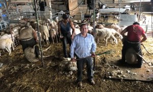 Un agricultor 'regenerativo' aragonés que cuida los suelos