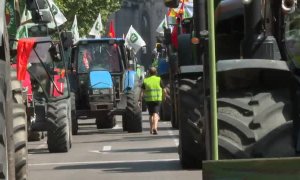Los agricultores exigen en Madrid ayudas directas para paliar los efectos de la sequía
