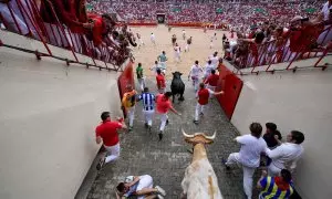 Un toro de la ganadería La Palmosilla, al término del primer encierro de los sanfermines 2023.