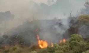 Continúan las llamas en ocho regiones del noroeste de Argelia