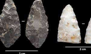 2-8-2023 Algunes de les peces que s'han trobat a la cova d'en Pau