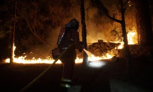 El incendio en Tenerife avanza sin control: hay ocho localidades afectadas y más de 3.273 hectáreas calcinadas