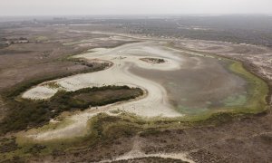 Parque Nacional de Doñana, a 22 de abril de 2023, en Sevilla, (Andalucía, España).