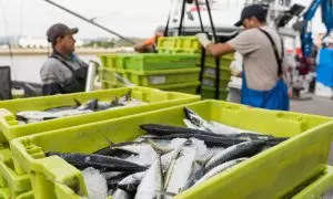 El gobierno promete ser un aliado de las cofradías de pescadores para dar respuesta a los problemas del sector