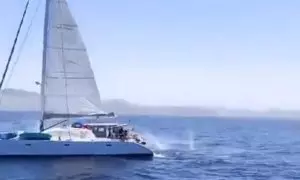 Los tripulantes del velero en el momento de disparar a las orcas.Twitter